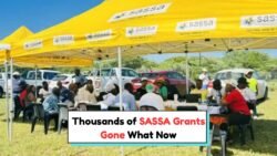 Urgent: Check Your SASSA Status Now or Risk Grant Suspension This September