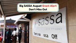 SASSA August 2025: Discover the Exact Dates for R2,315, R560, and R1,250 Grant Payments